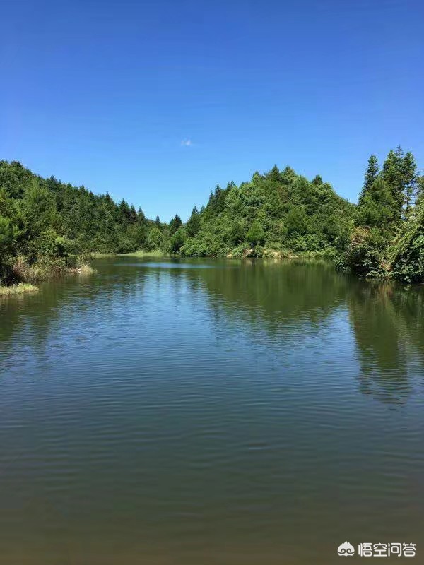 重庆市养老中心哪个好些