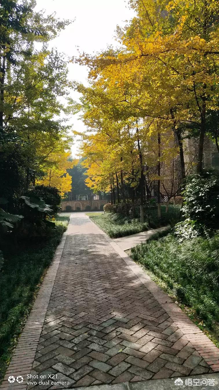 老郭的海外生活小说在线阅读，老郭vlog