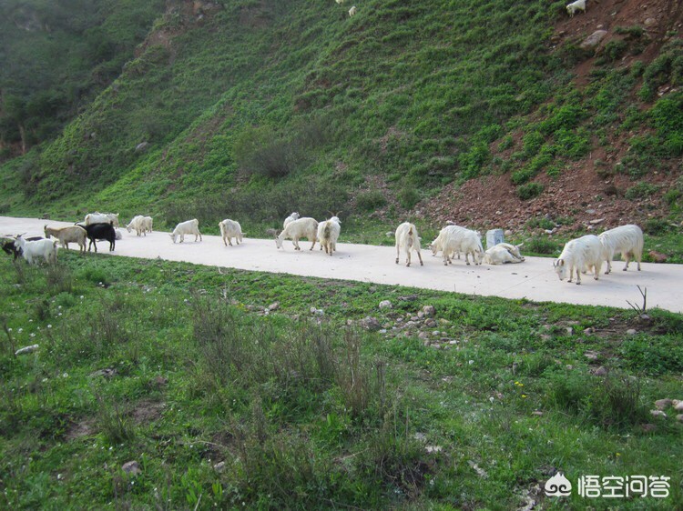 甘肃定西的男人怎么样？