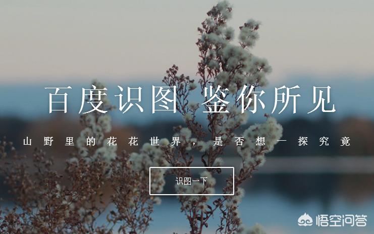 美的甲骨文小篆字体转换