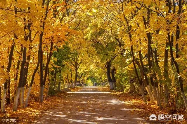 最感人的情话最感人的情话让人流泪 最感人的情话最感人的情话让人流泪