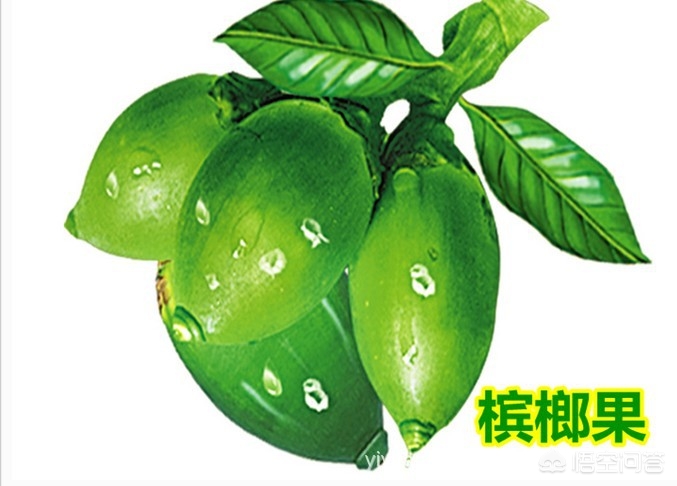 [1亿国人在嚼槟榔]一天嚼1-2包槟榔，这对身体有哪些危害？