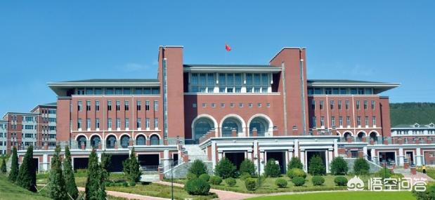 大连市和武汉市哪个大