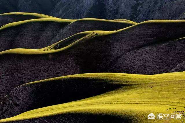你如何看待现在一部分年轻女性去影楼拍摄暴露的人体摄影？：人体摄影