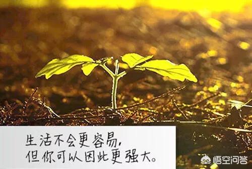 离职背上11万车贷（想辞职，却因为有房贷、有欠款没勇气该怎么办？）