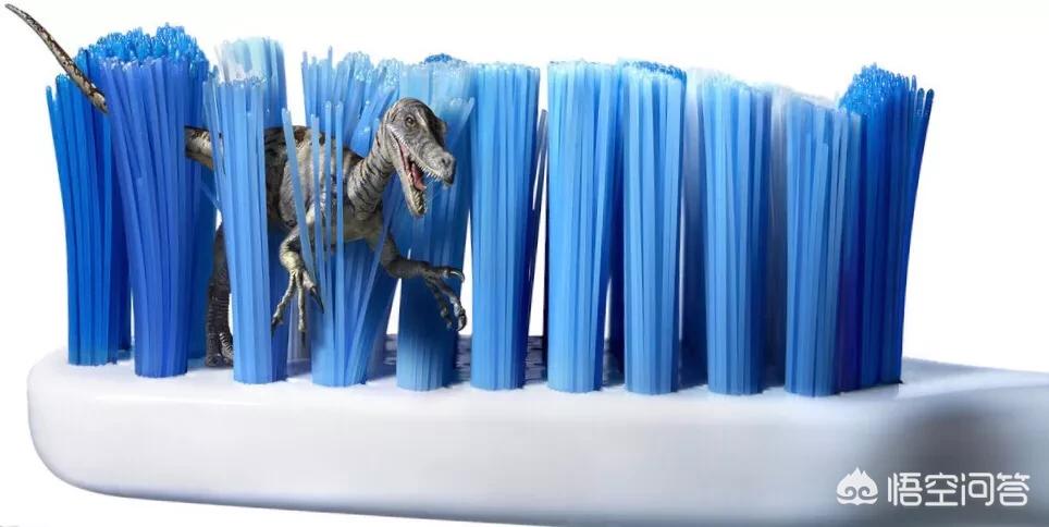 [做图片的软件]做相册哪个软件效果好？