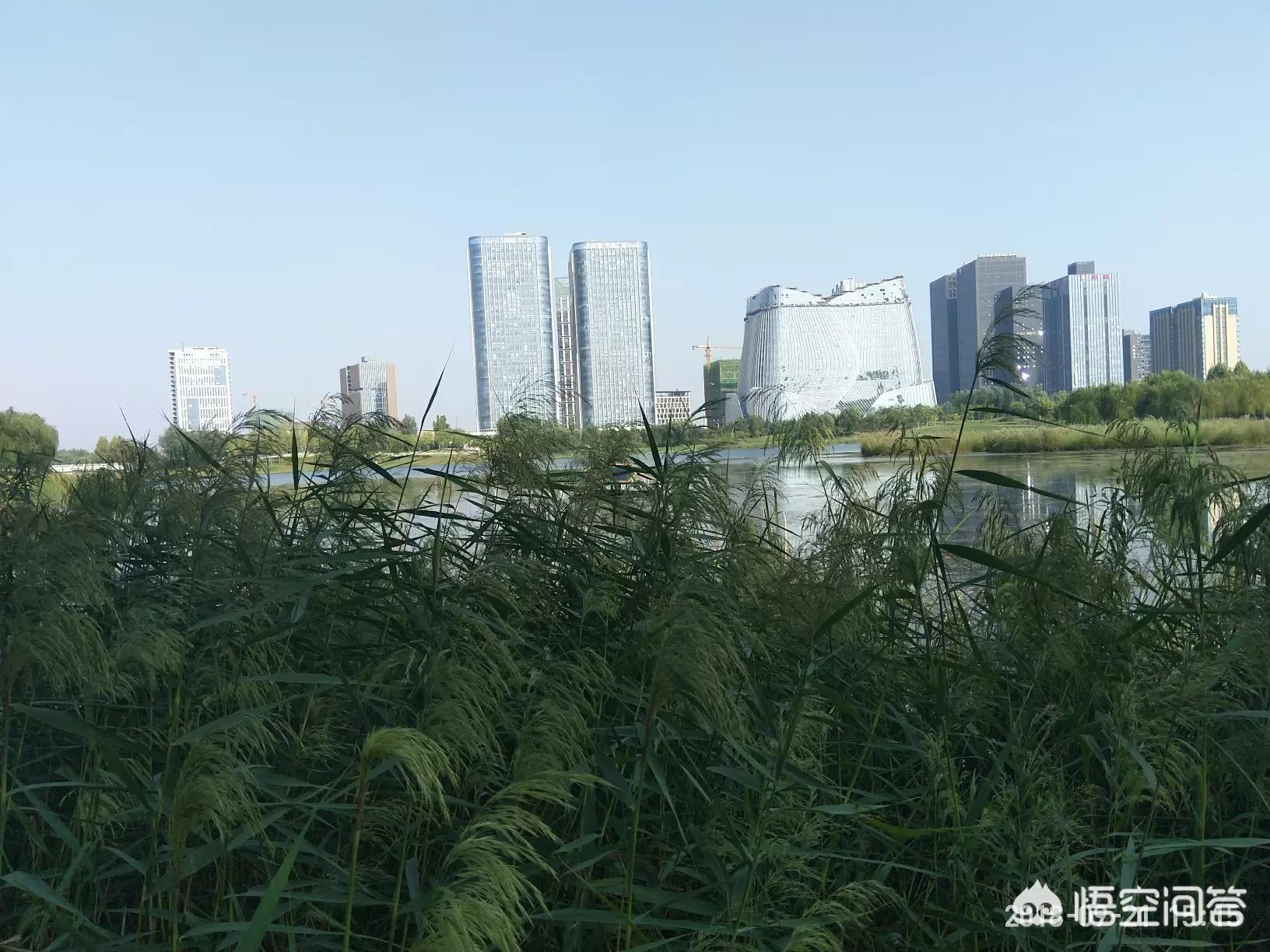海外生活的成熟女人图片，海外生活的成熟女人图片大全