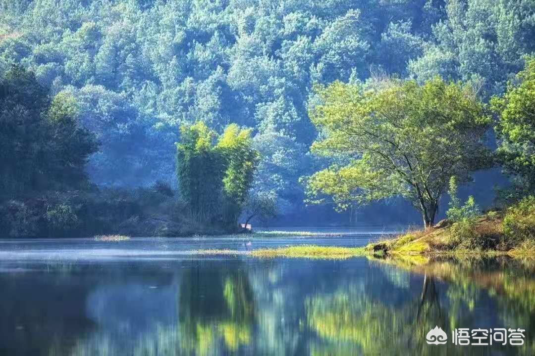 三亚和杭州相比，哪个城市更宜居？宜居城市有哪些特性？