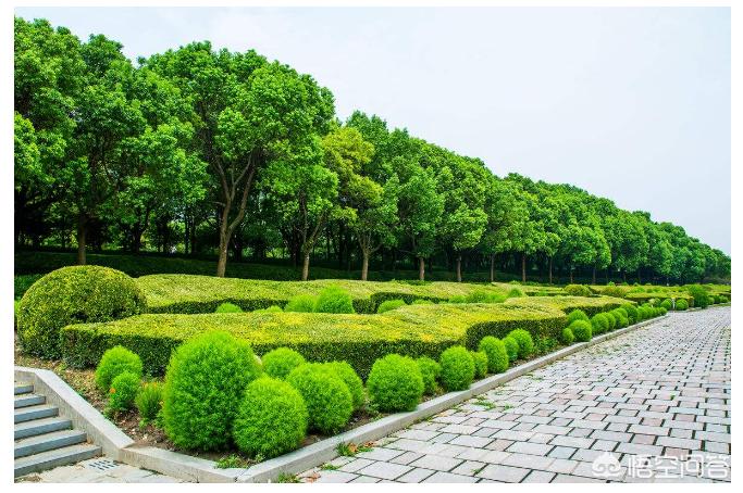 画图特效制作网站有哪些,浴室柜定制自己画效果图要下载什么软件?