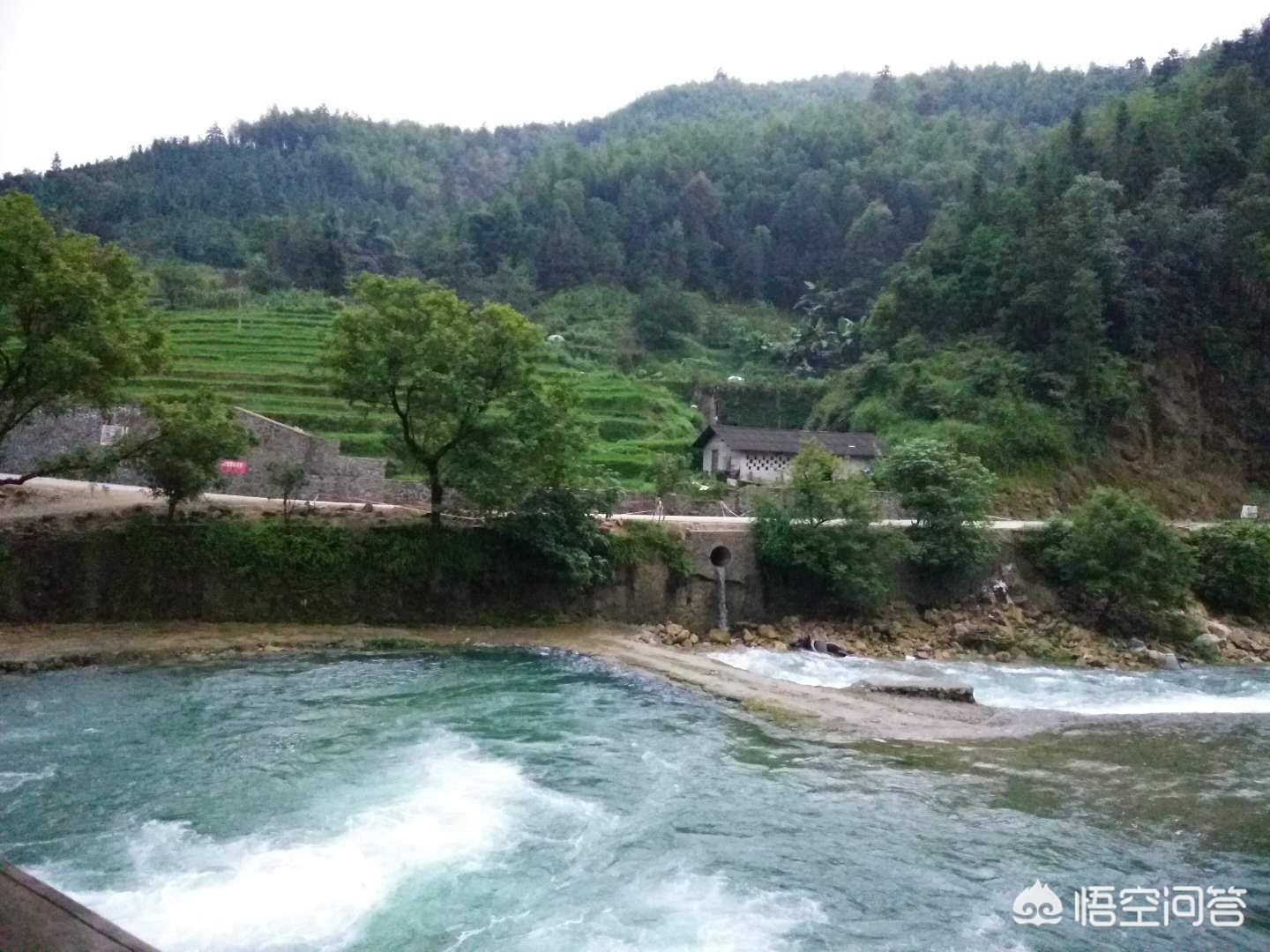 如何搭建网站自媒体