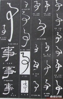 如何练好草书钢笔字体