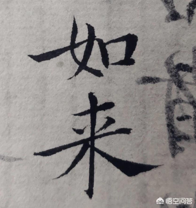 考草书书法字体怎么写好