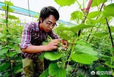 海外生活的成熟女人图片，海外生活的成熟女人图片大全