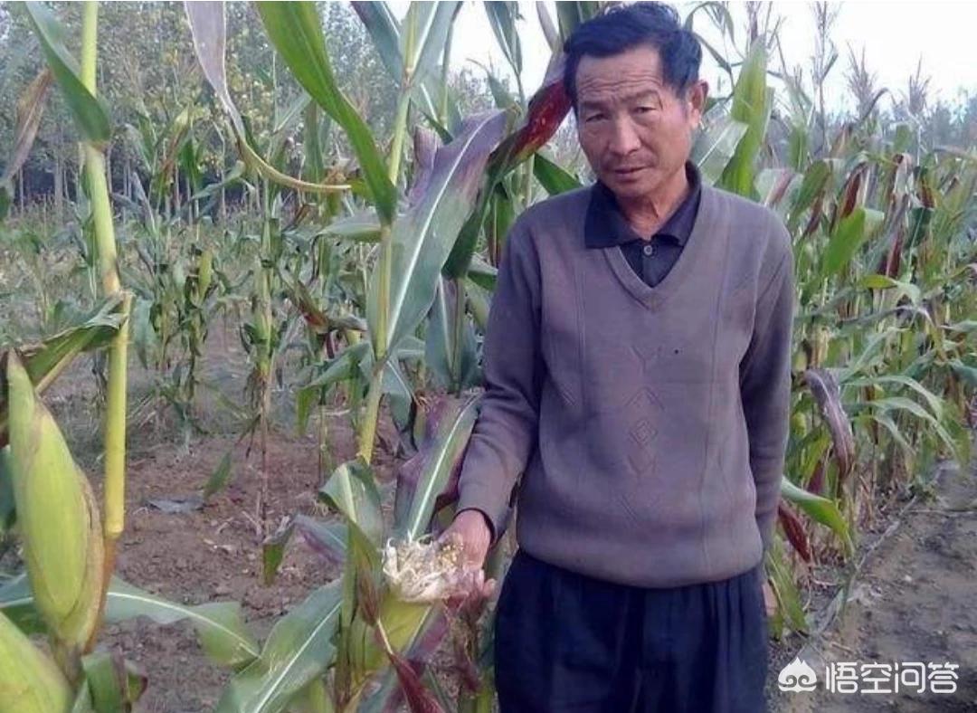 [炸雷是什么意思]炸雷是什么意思？