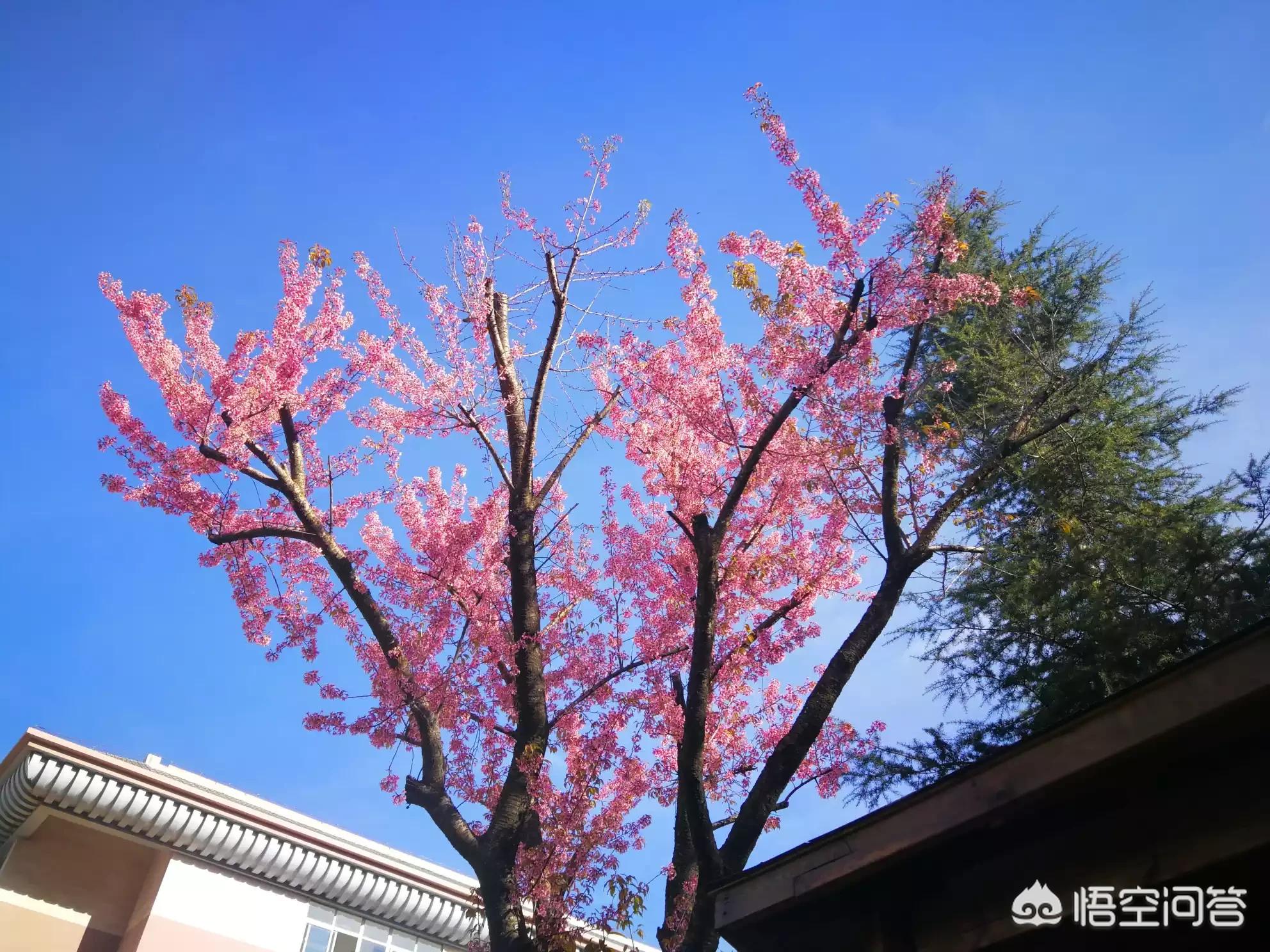 12月你好发朋友圈的句子2019年?:你好2019 12月你好发朋友圈的句子2019年?:你好2019