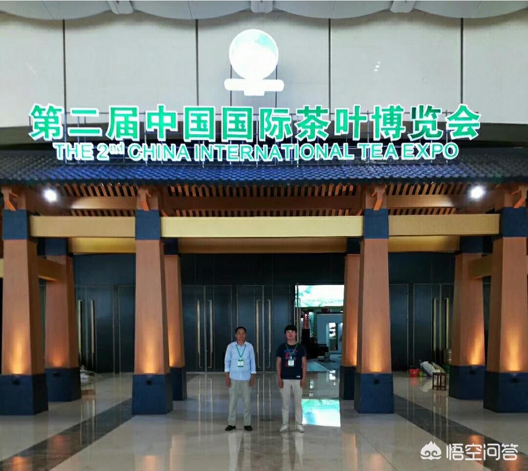 商城县的信阳毛尖怎么样？