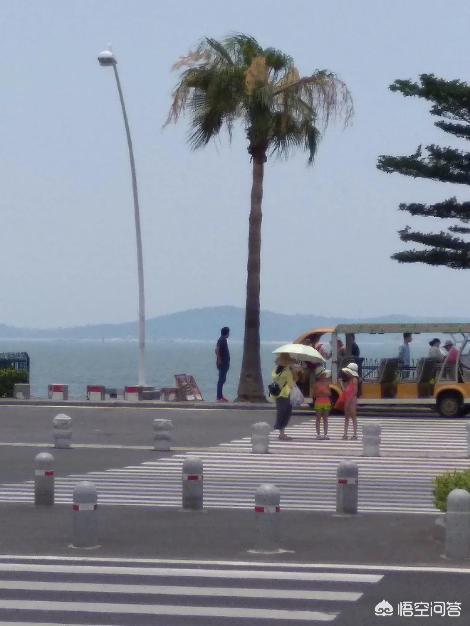 厦门市区离哪个土楼最近