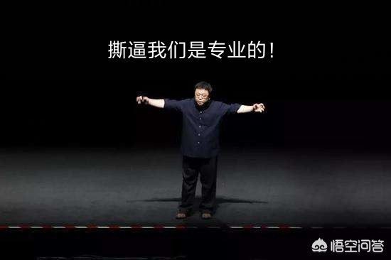 罗永浩怼网友
