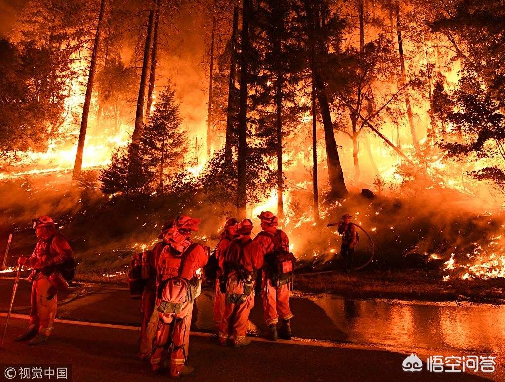 新澳门开奖结果记录历史和美国山火烧了34天与美国山火烧了多久了