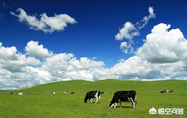 [地球臭氧层正在恢复]怎样才能减少对地球臭氧层的破坏和消耗？
