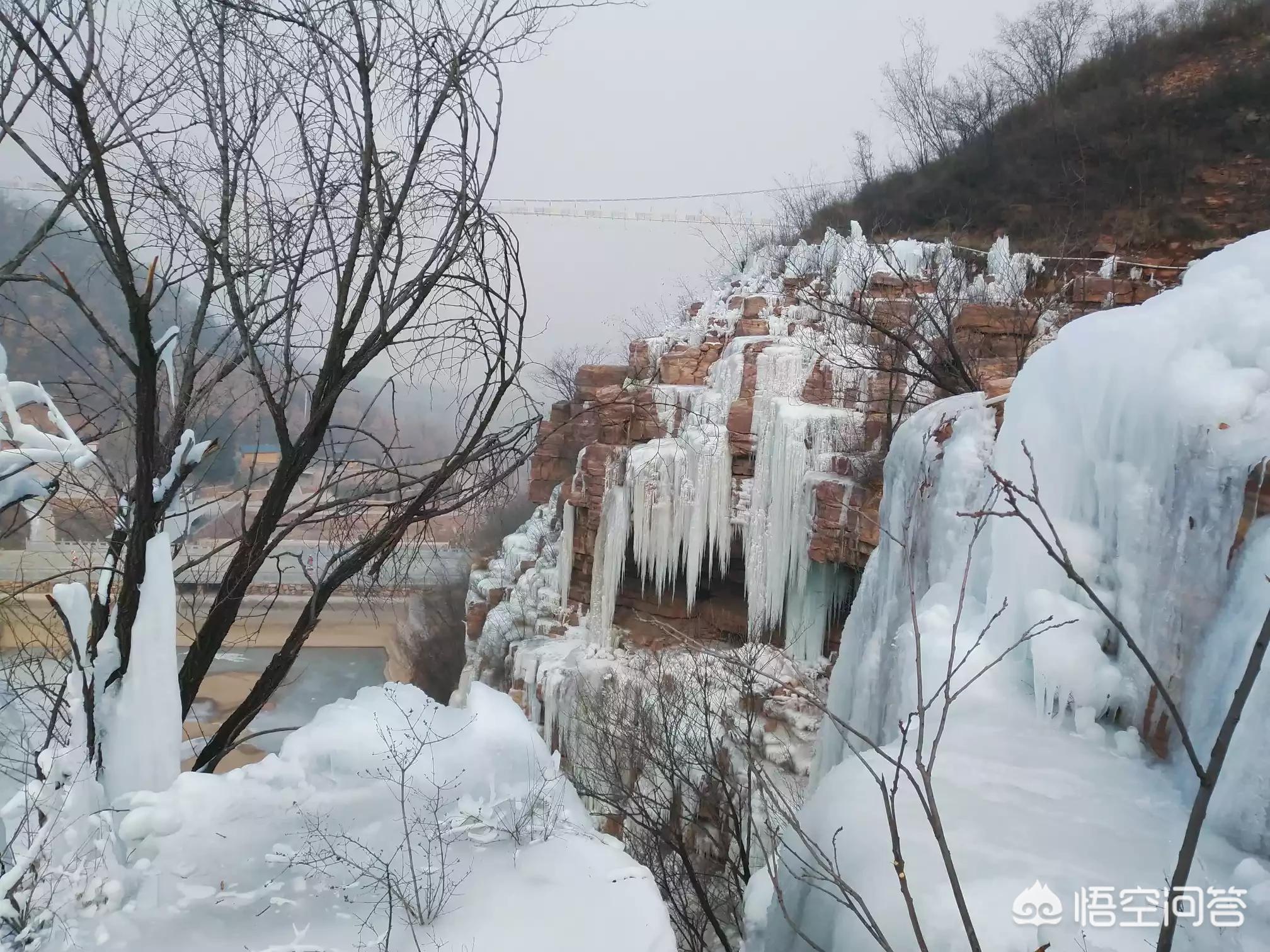 海外生活的维族人叫什么，海外生活的维族人叫什么人