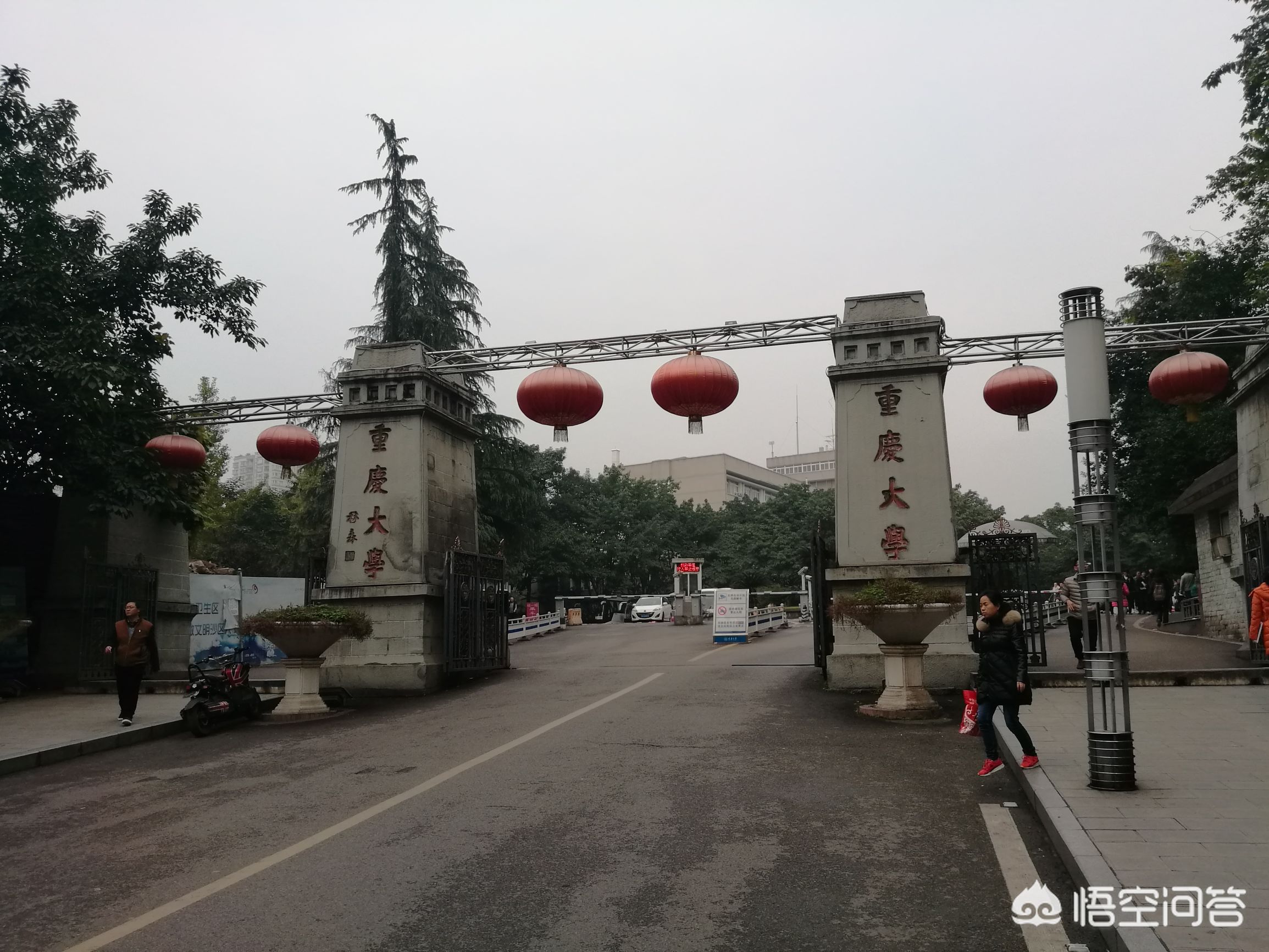 大连市与重庆市哪个好