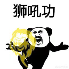 如何评论王者荣耀这个游戏？