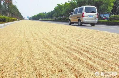 前途汽车汽车报价,前途 汽车 价格
