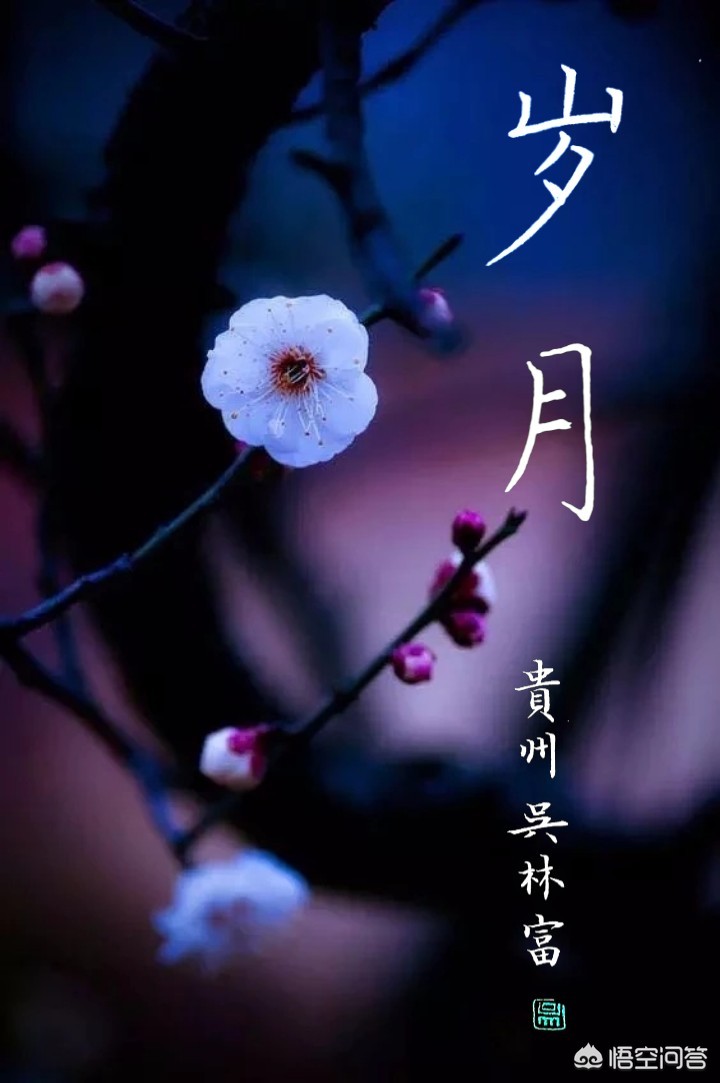 钢笔楷书书法字体下载
