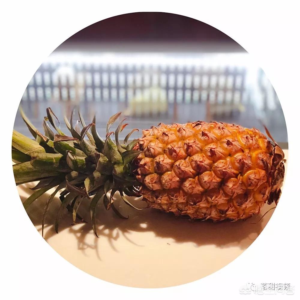 [凤梨就是菠萝吗]凤梨与菠萝一样甜吗？二者的区别在哪？