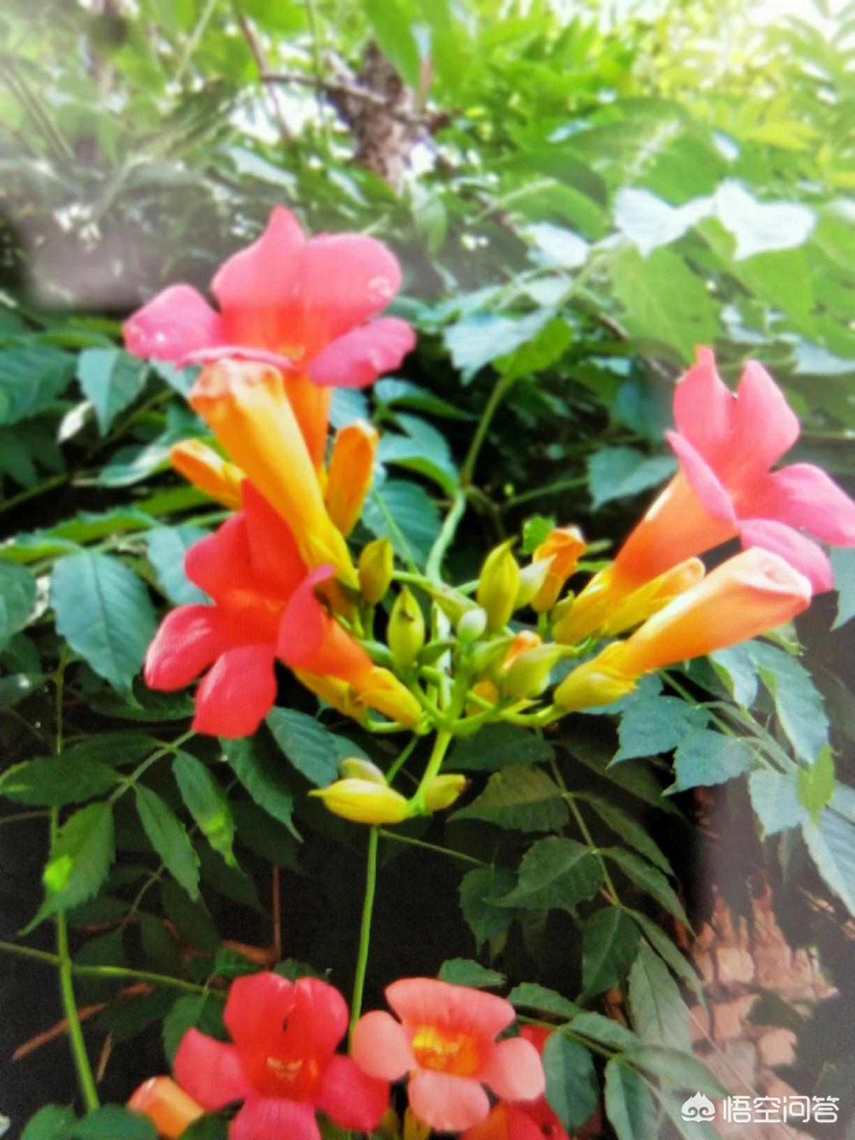 商河县什么时间化到济南市的？