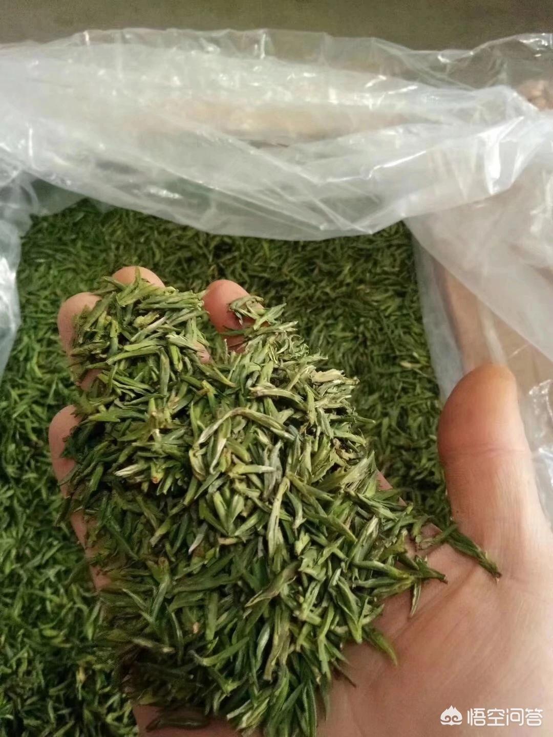 我想自学搭建网站