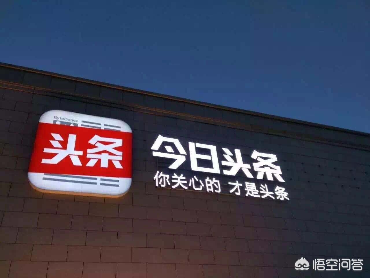 福建社交app开发公司
