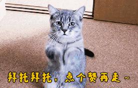 pdd美妆好物推荐男生
