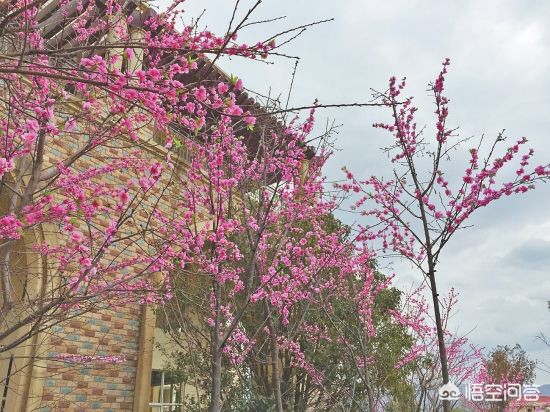 拍婚纱摄影选哪里好，拍婚纱摄影选哪里好一点