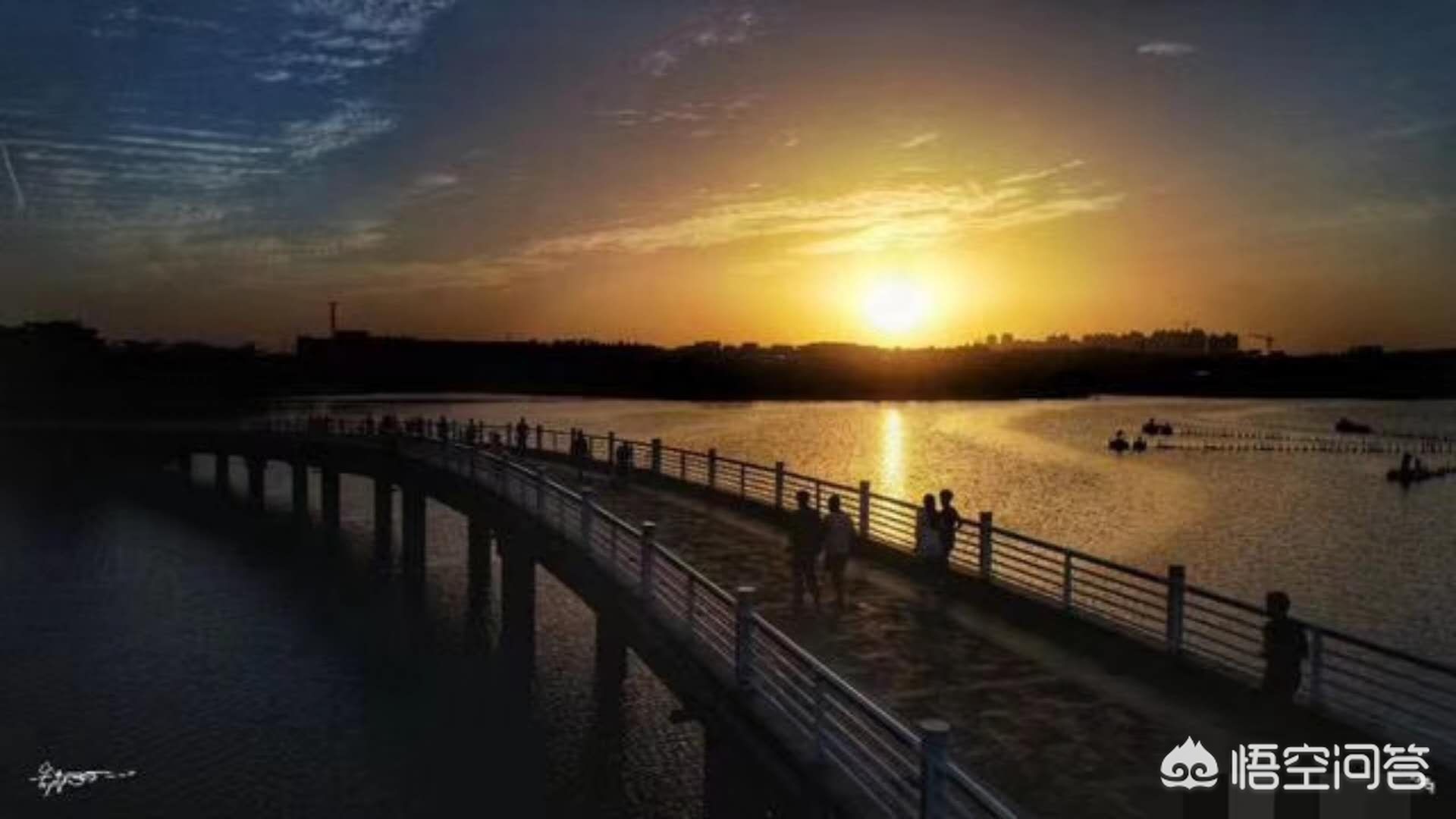 合肥市哪个区域适合居住