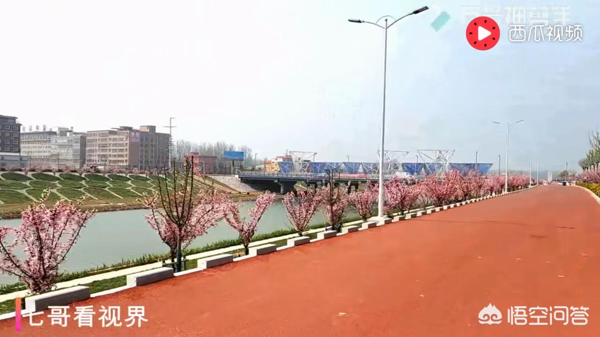 西平有哪些银行？