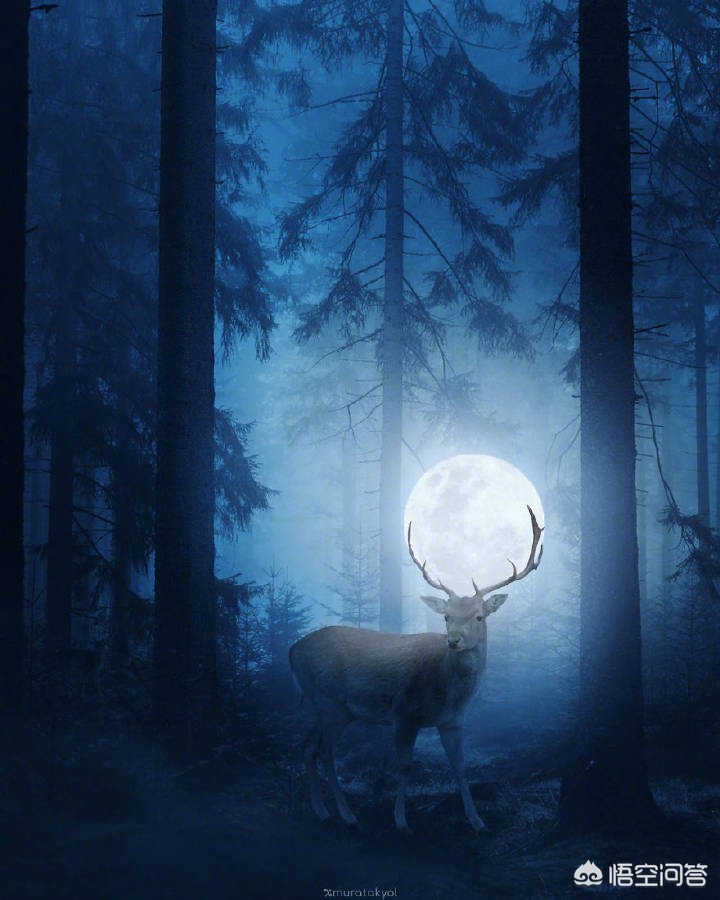 立下flag立flag啥意思