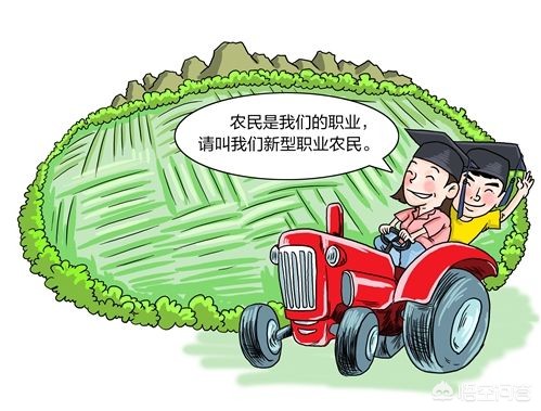 [桔子红了]《桔子红了》这部电视剧，你觉得好看吗？