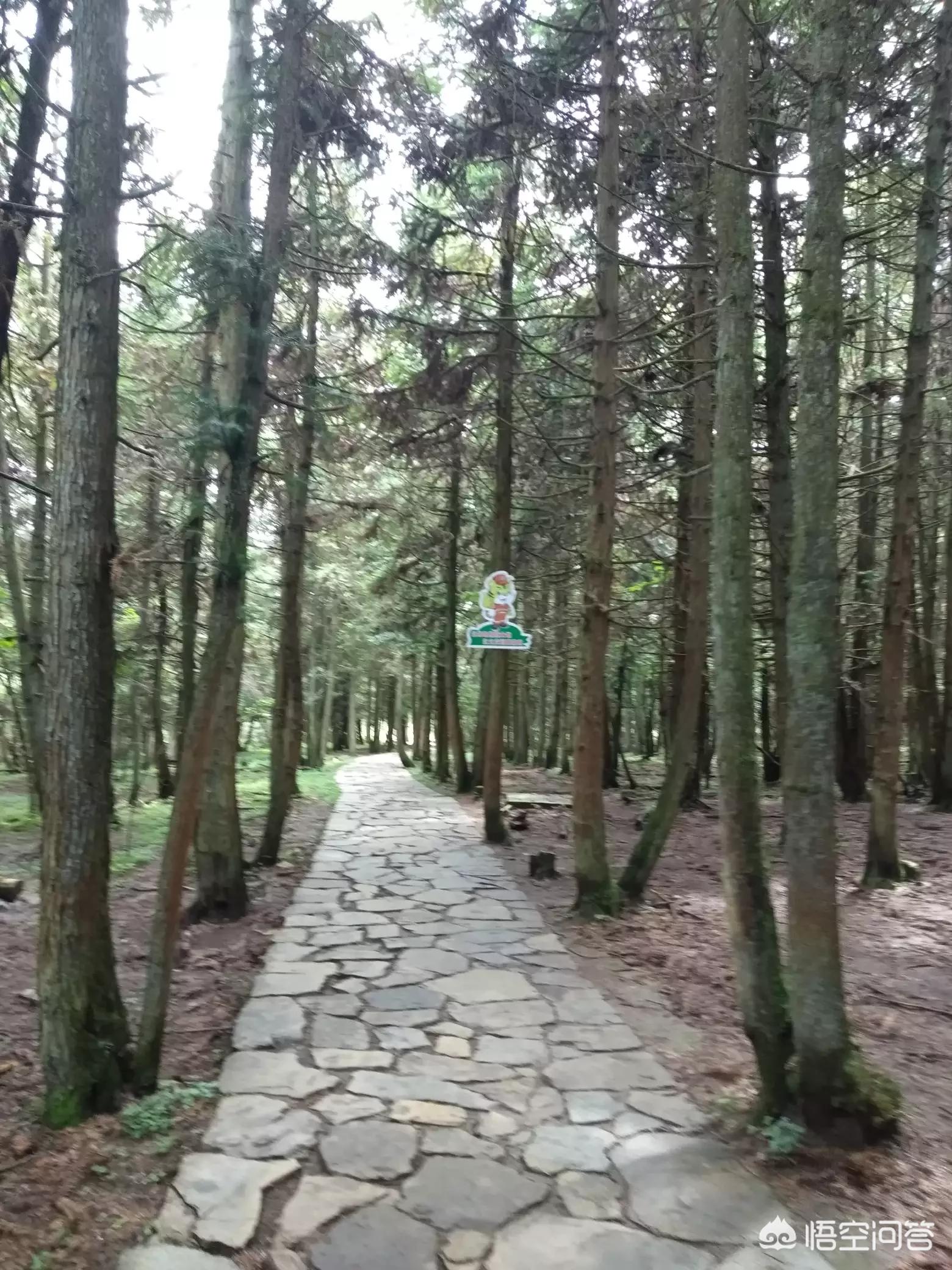 重庆市养老中心哪个好些