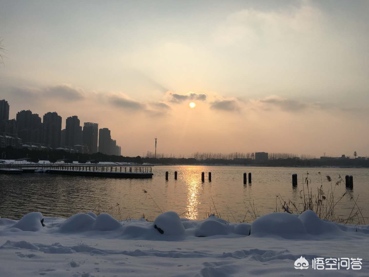 合肥市哪个区域适合居住