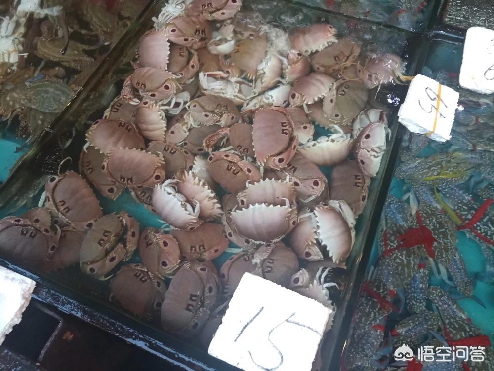 厦门菜市场排名？