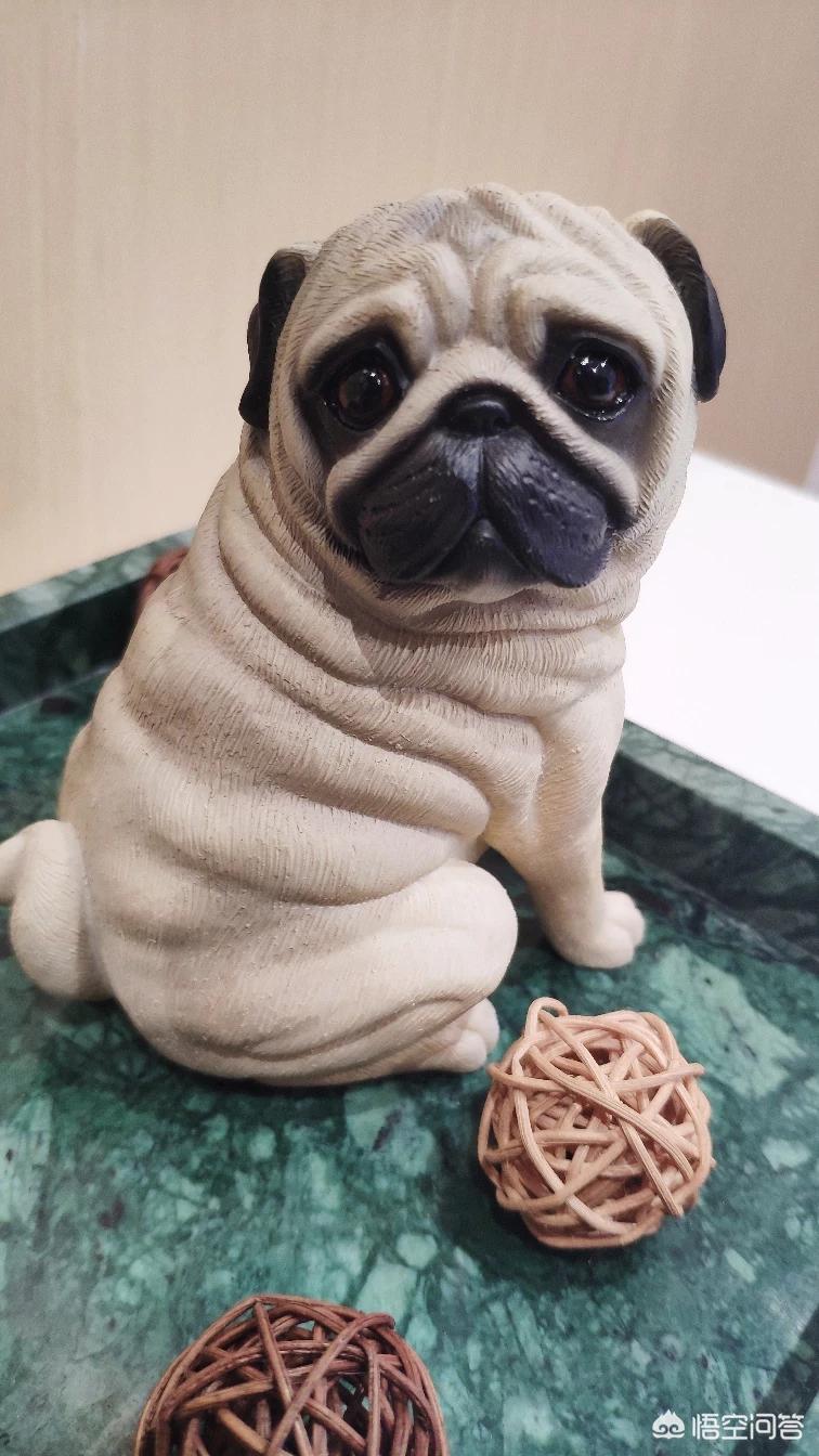 快照怎么自己搭建网站