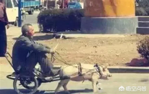 家二手车