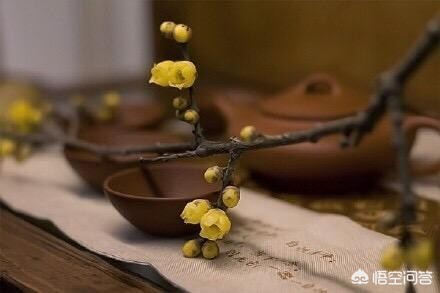 半颗糖半颗糖微信名什么意思 半颗糖半颗糖微信名什么意思