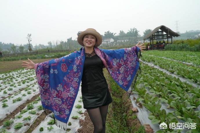 [桔子红了]《桔子红了》这部电视剧，你觉得好看吗？