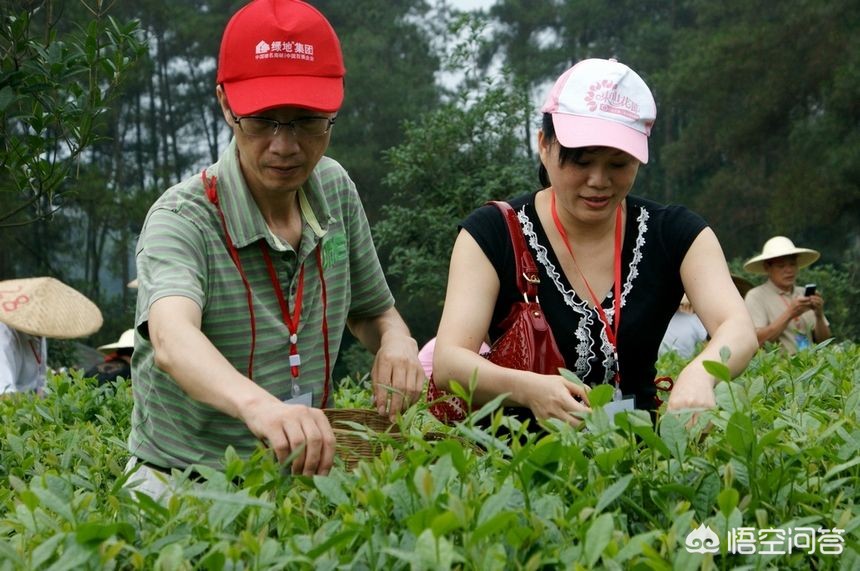 [桔子红了]《桔子红了》这部电视剧，你觉得好看吗？