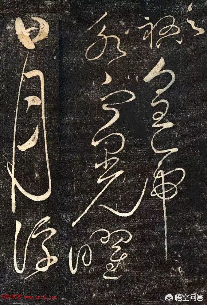 带有草书的字体有哪些