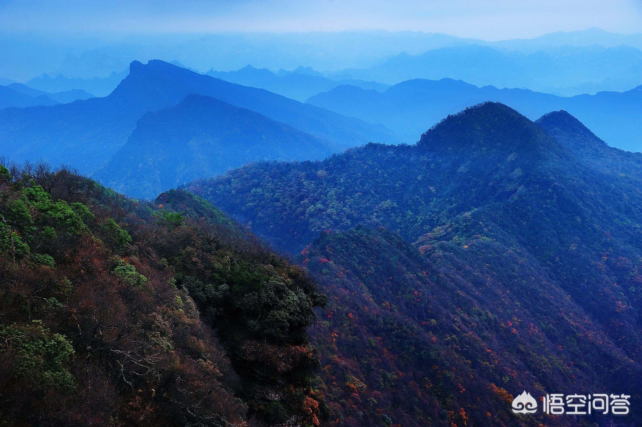 洛阳重庆哪个好玩的地方 洛阳重庆哪个好玩的地方