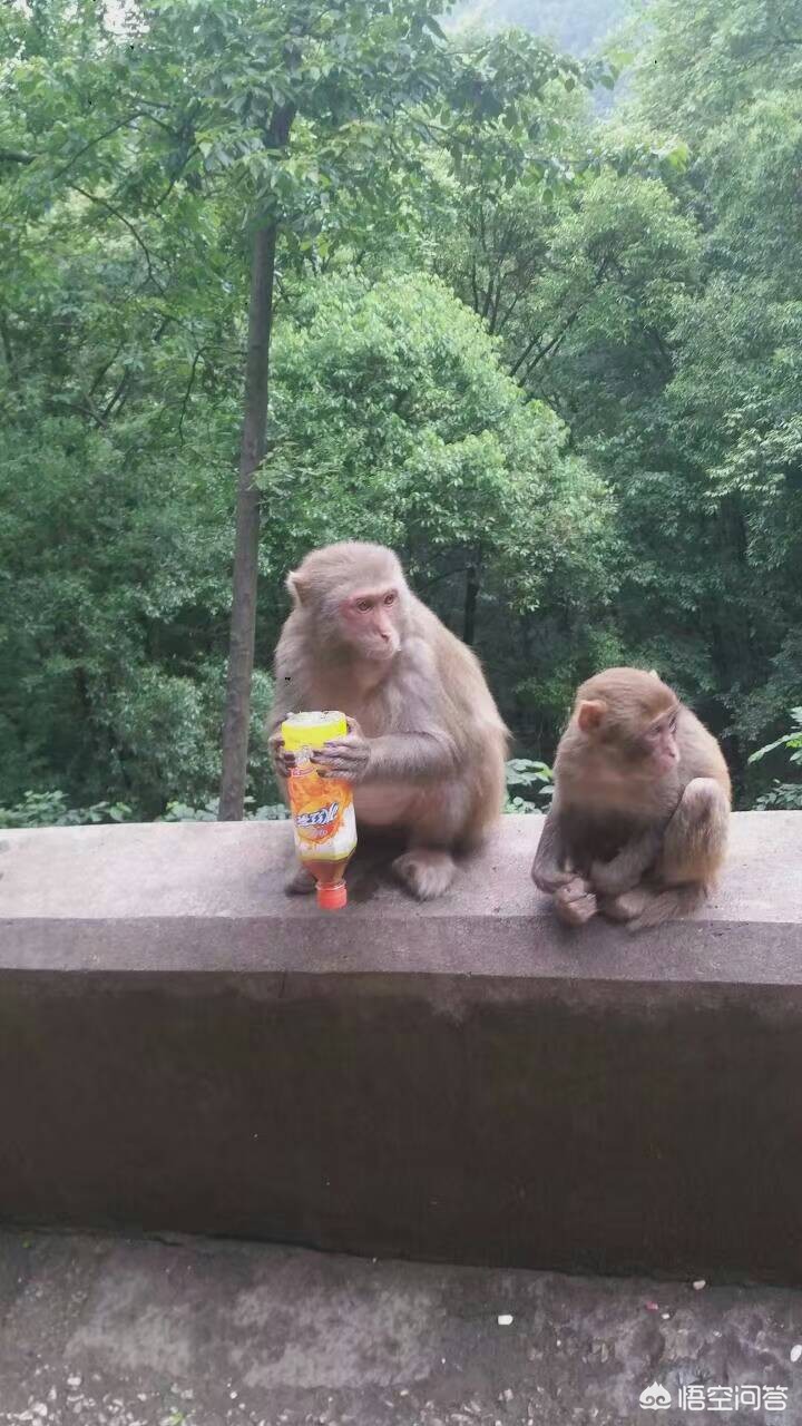 最感人的情话最感人的情话让人流泪